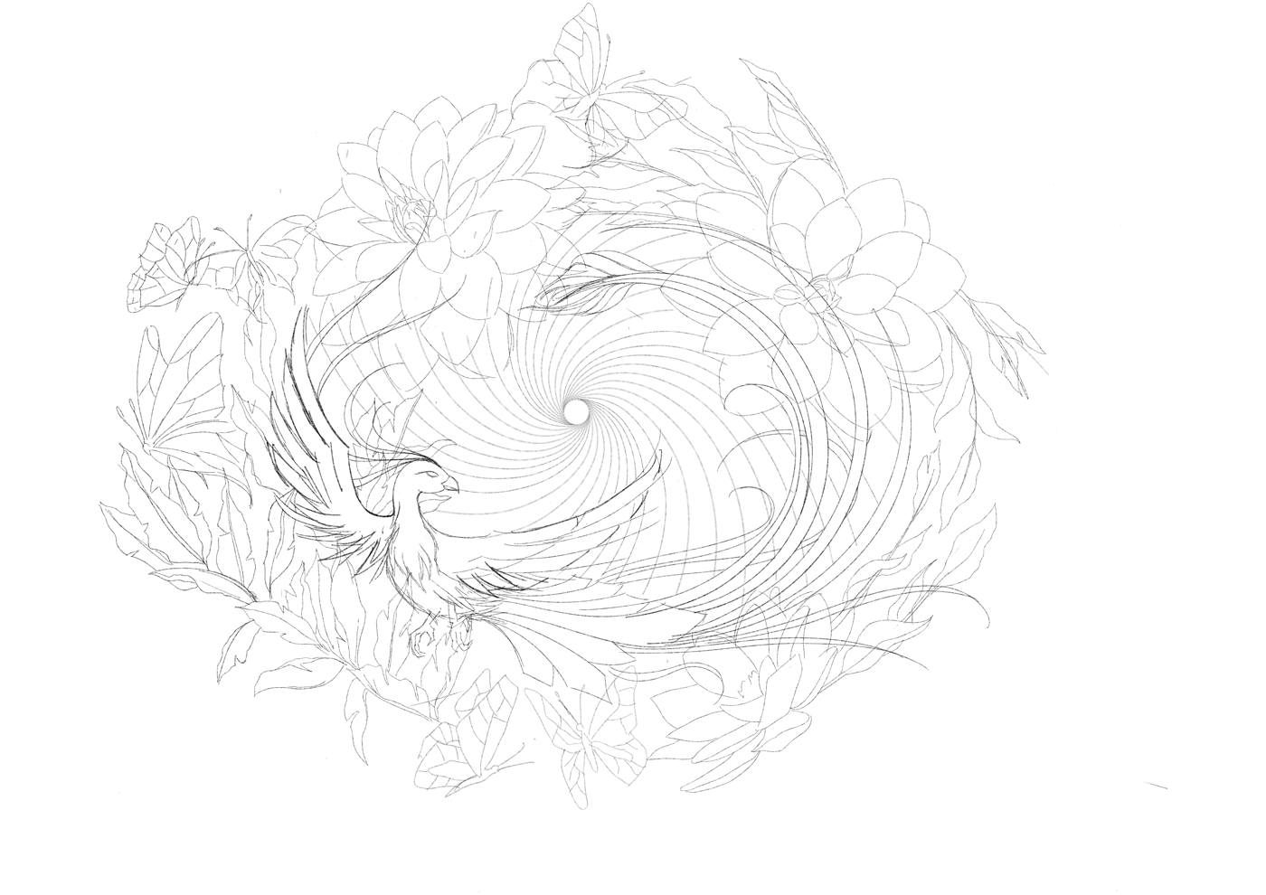 Calix illustration sketch